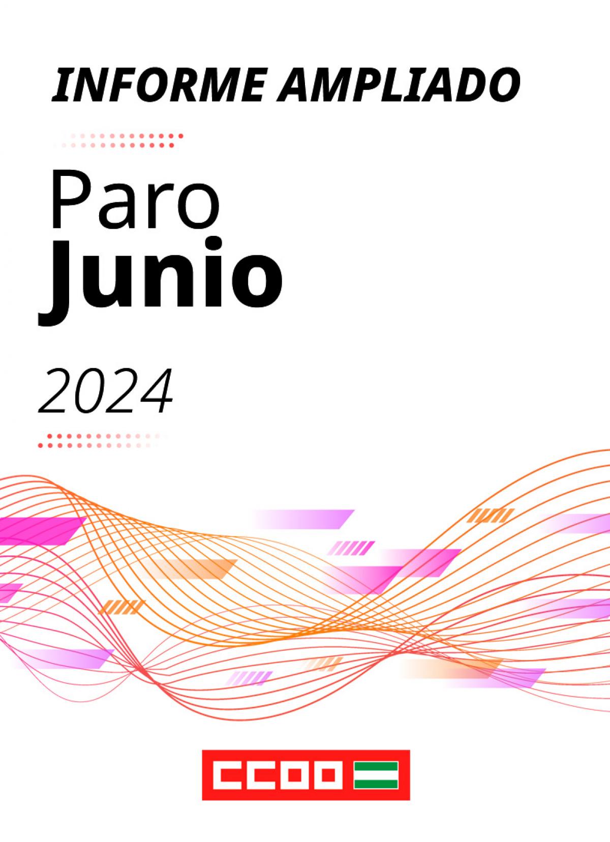 Informe ampliado paro junio 2024