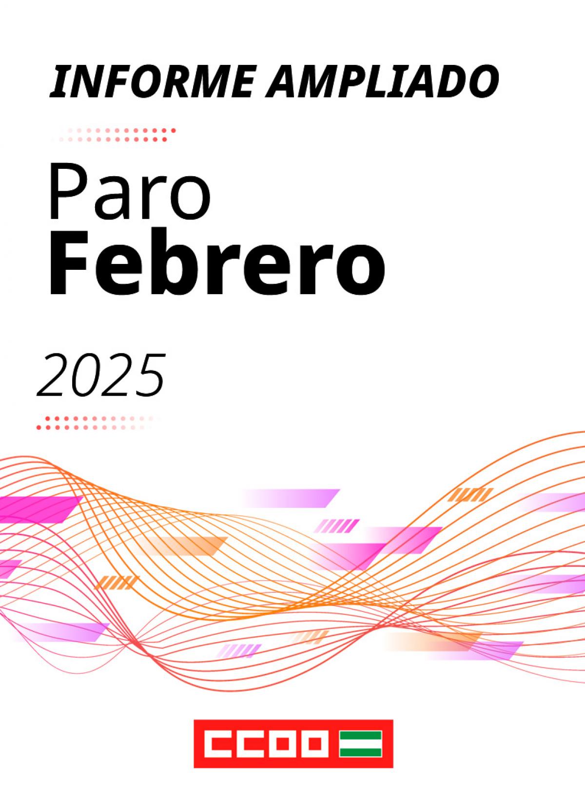 Informe ampliado paro febrero 2025