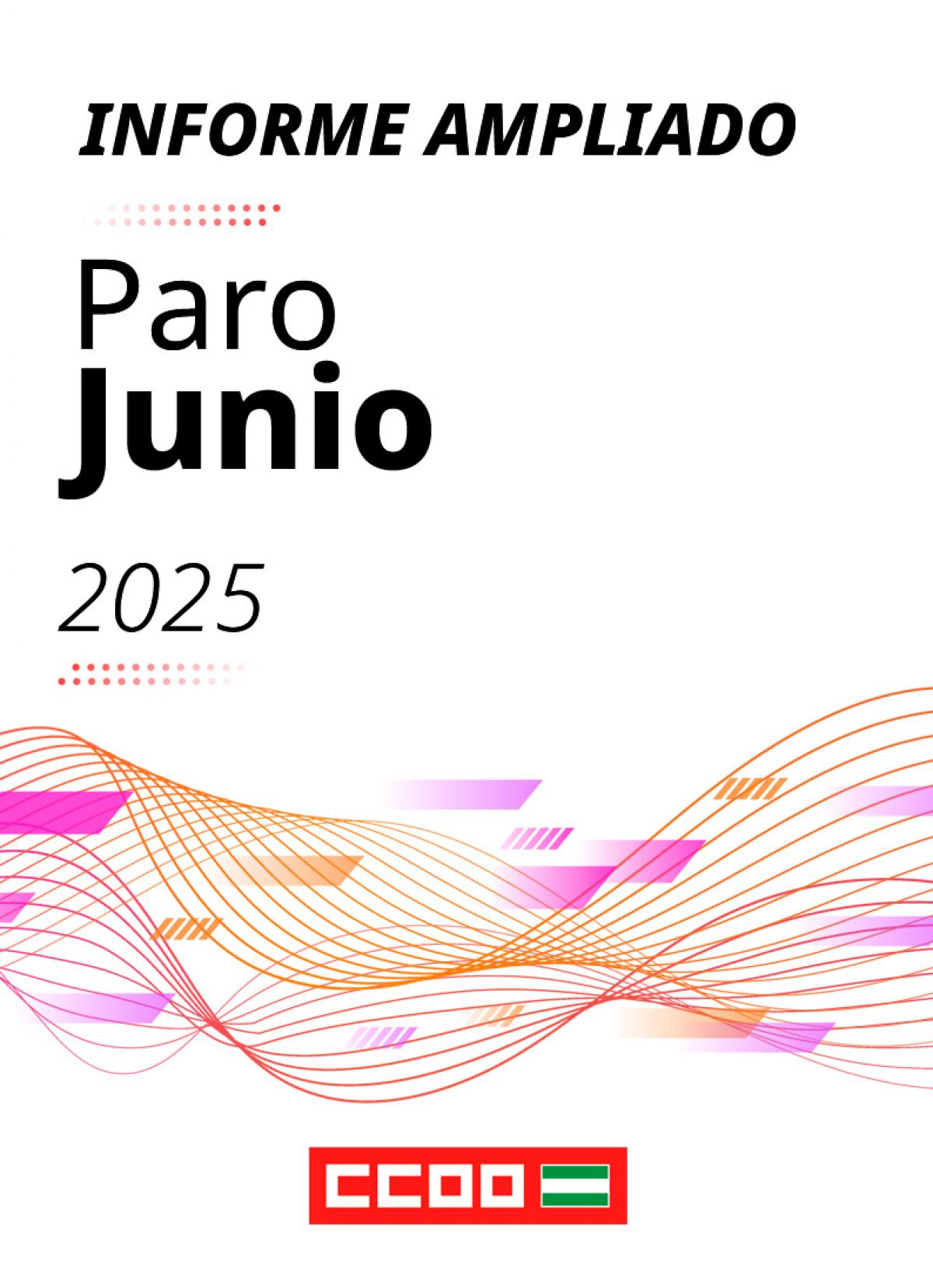 Informe ampliado paro junio 2025