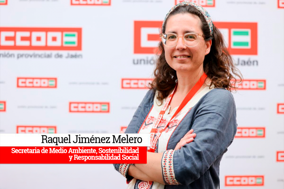 Comisin Ejecutiva CCOO de Jan