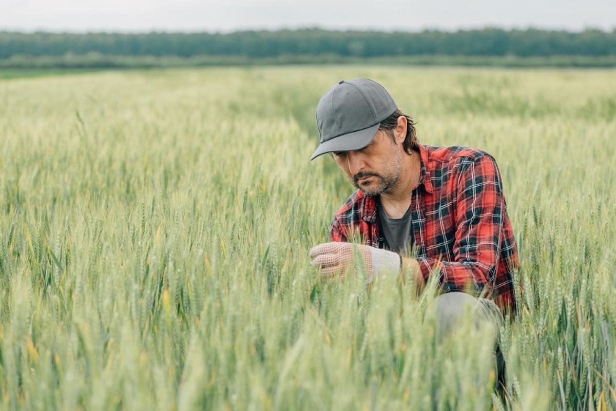 Andaluca es la comunidad autnoma que concentra ms paro agrario