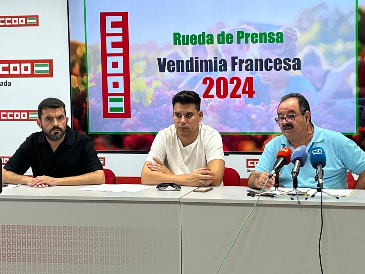 Rueda de prensa vendimia 2024