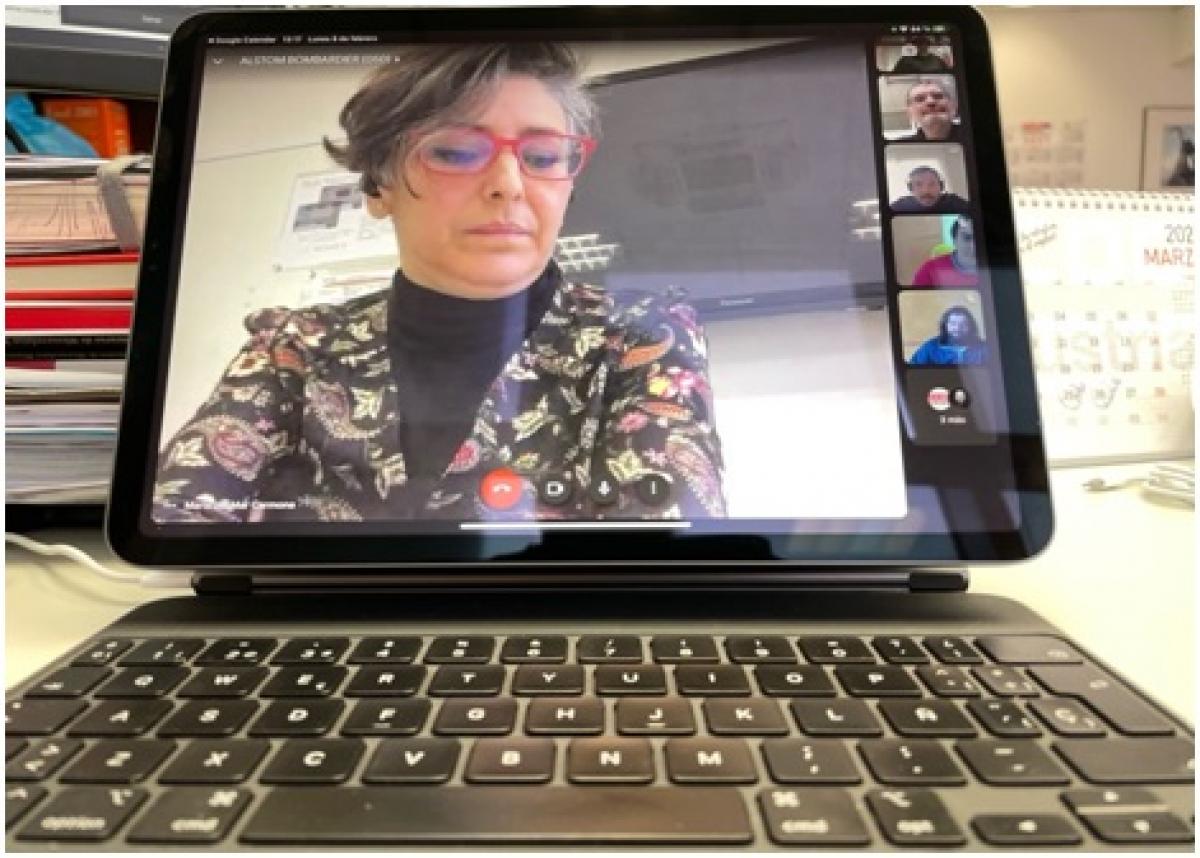Un momento del encuentro virtual que mantuvo el grupo de trabajo
