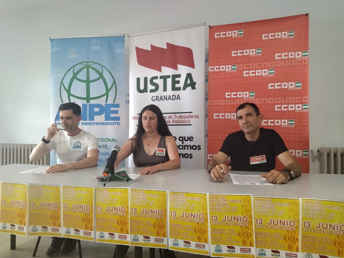 CCOO, USTEA y ANPE convocan las movilizaciones del prximo 13 de junio.