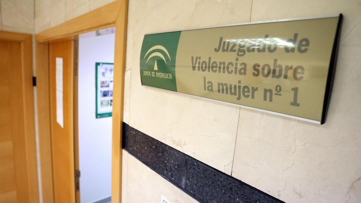 El sector de la Administración de Justicia de CCOO de Andalucía pone en manifiestos al Gobierno andaluz pretende la situación que atraviesa el Juzgado de Violencia sobre la Mujer de Cádiz.