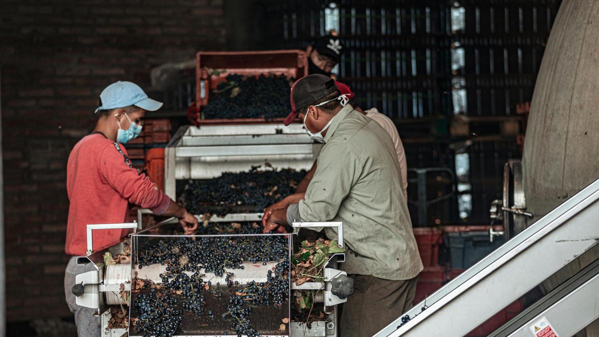 Foto: Gonzalo Acua. Pexels