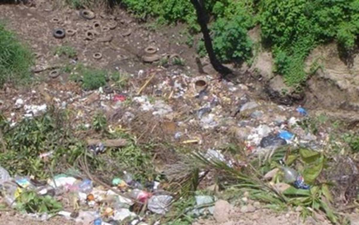 Suelos contaminados. Fuente: wikimedia