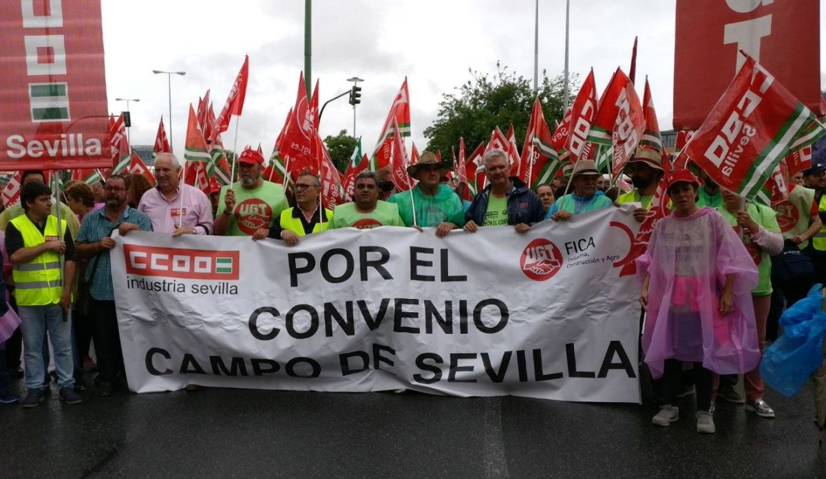 Llegada a Sevilla de la marcha por elconvenio del campo.