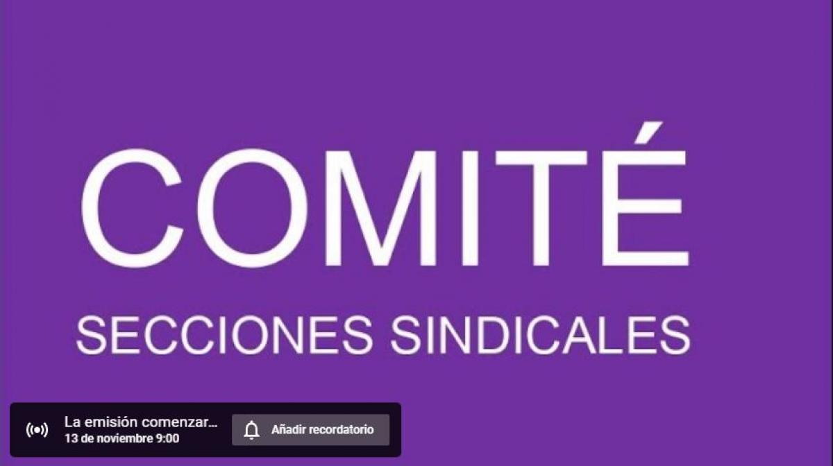 Retransmisin en directo por streaming 13 de noviembre a partir de las 9.00 h.