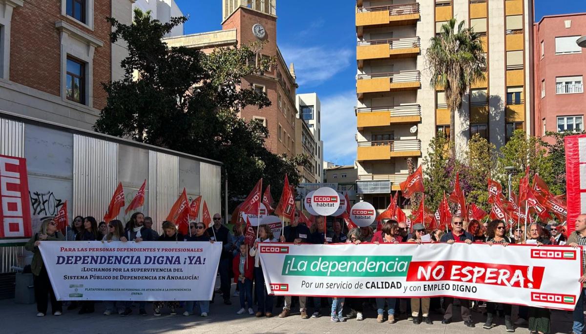 CONCENTRACIN EN DEFENSA DEL SISTEMA DE DEPENDENCIA