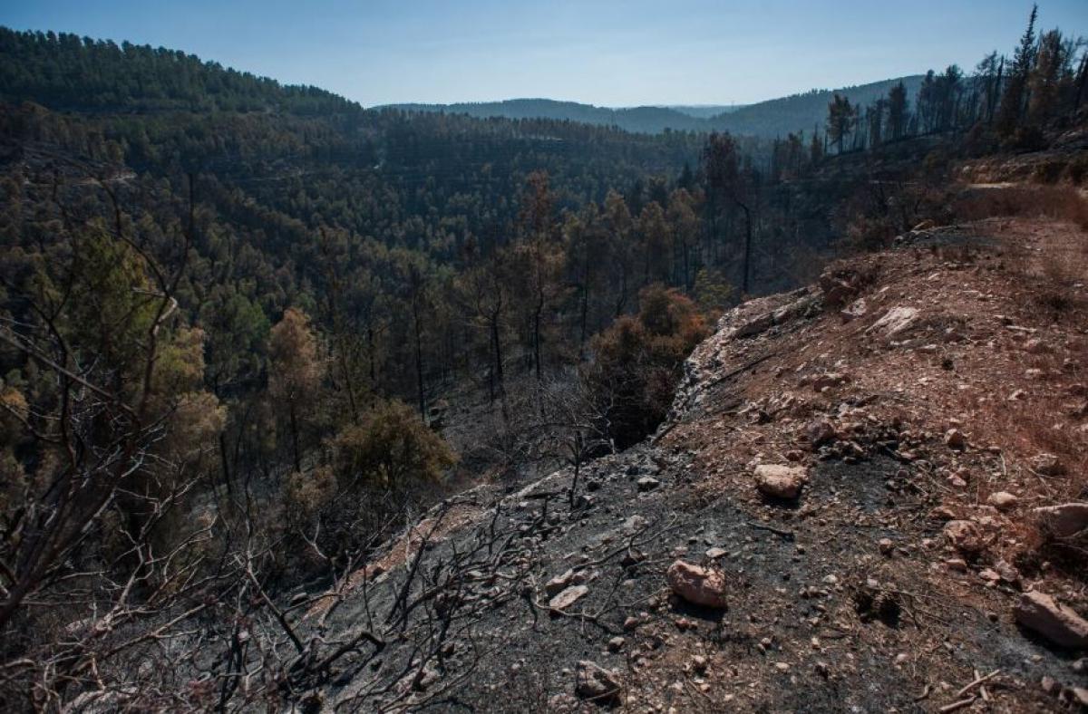 CCOO denuncia que la falta de Agentes Medioambientales y Celadores Forestales deja en una situación límite al INFOCA en Málaga