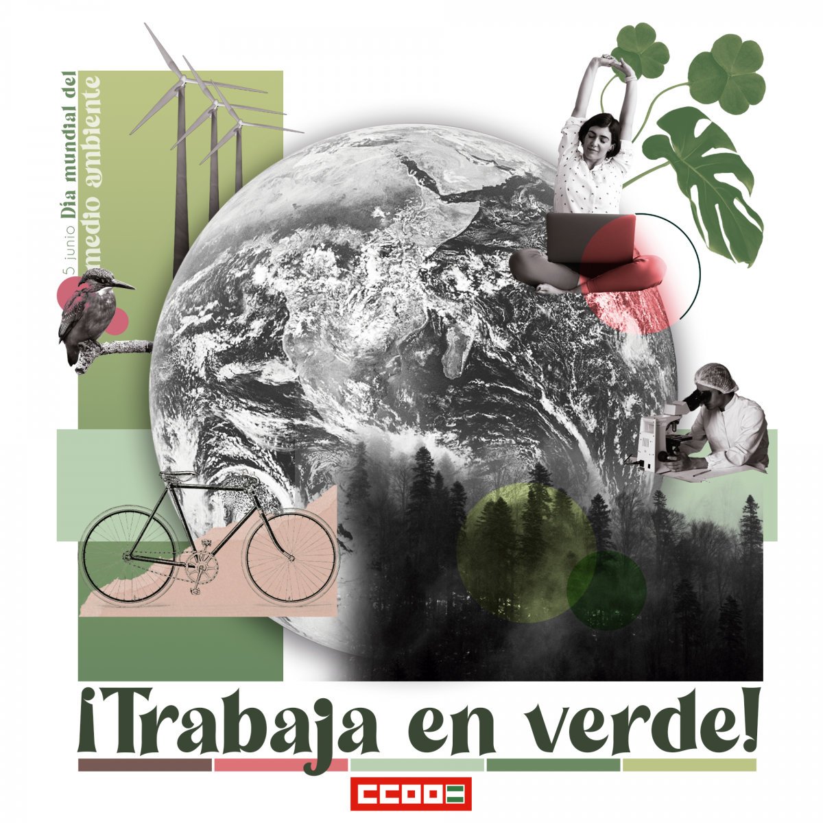 Cartel dia mundial medio ambiente 2022