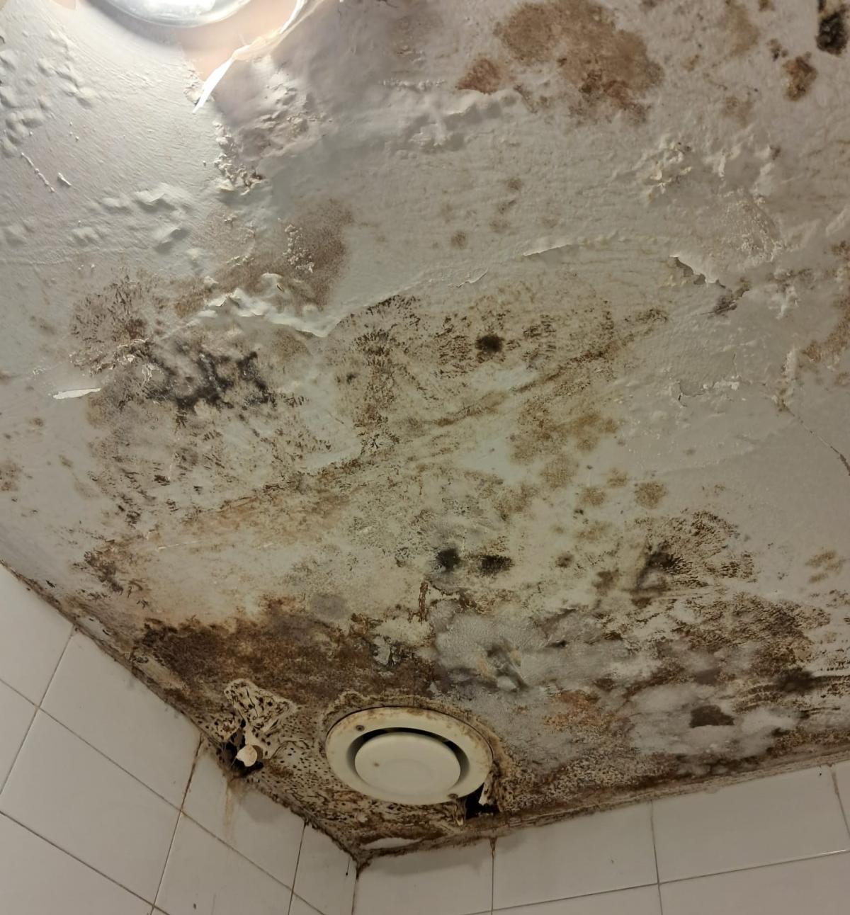 La presencia de moho en techos de vestuarios y pasillos de un hospital es una situación crítica que representa un alto riesgo para la seguridad de los pacientes, trabajadores/as y visitantes
