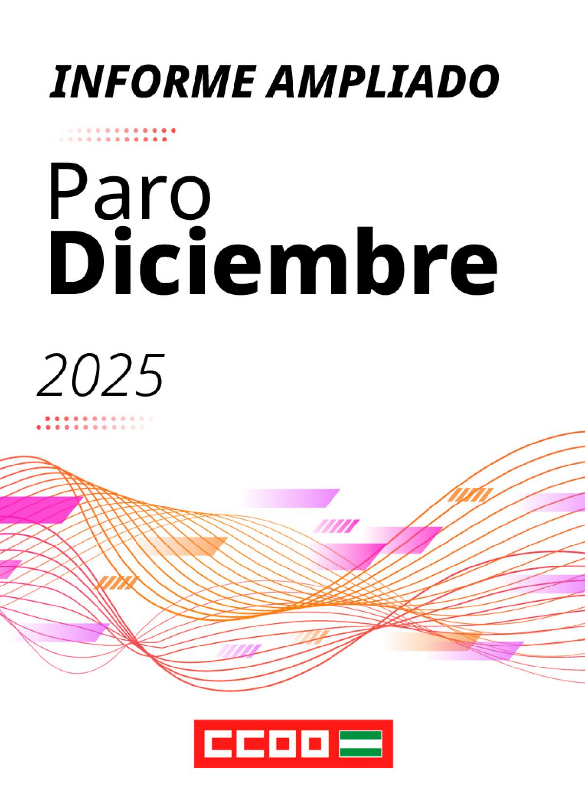 Informe ampliado paro diciembre 2025