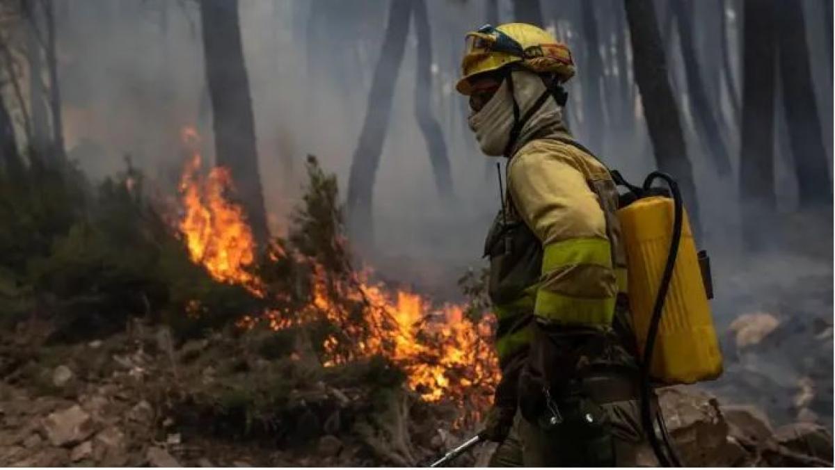 Bombero forestal