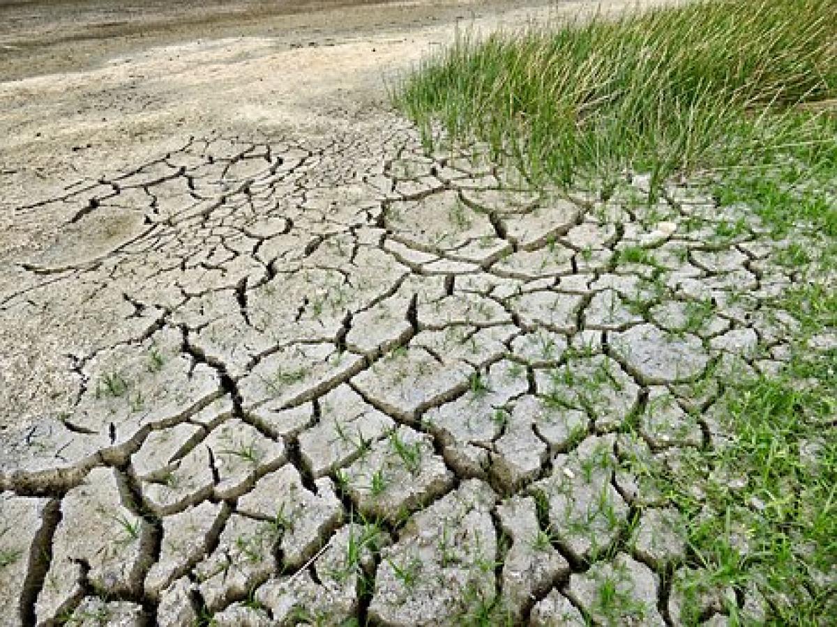 CCOO manifiesta su compromiso con la lucha contra el cambio climtico.