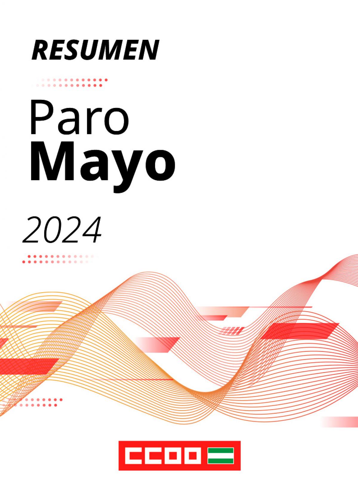 Resumen Paro Registrado Mayo 2024