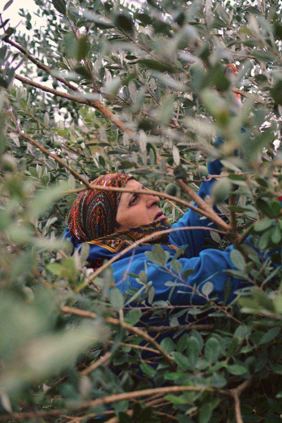 Imágen de noticia del proceso de regularización