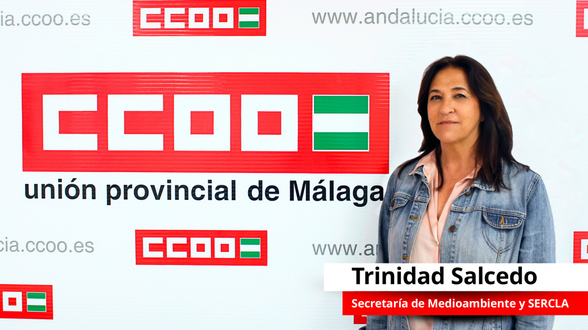 Comisin Ejecutiva CCOO de Mlaga 2025-2029