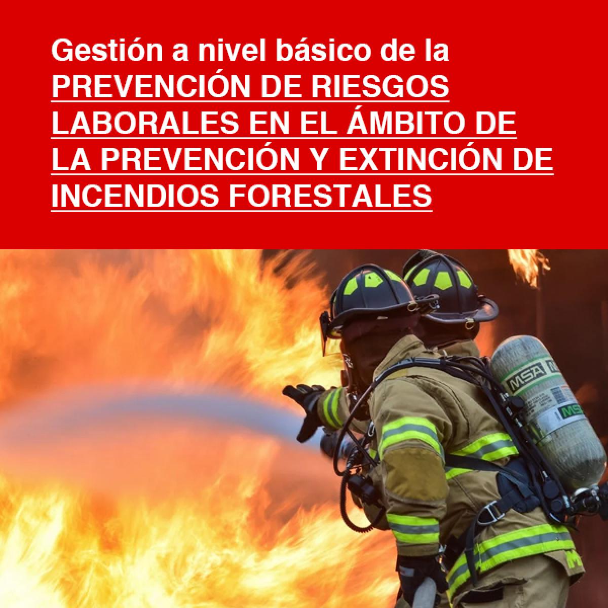 Gestin a nivel bsico de la prevencin de riesgos laborales en el mbito de la prevencin y extincin de incendios forestales