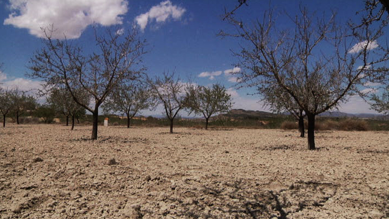 La sequa ya afecta a amplias zonas del Estado