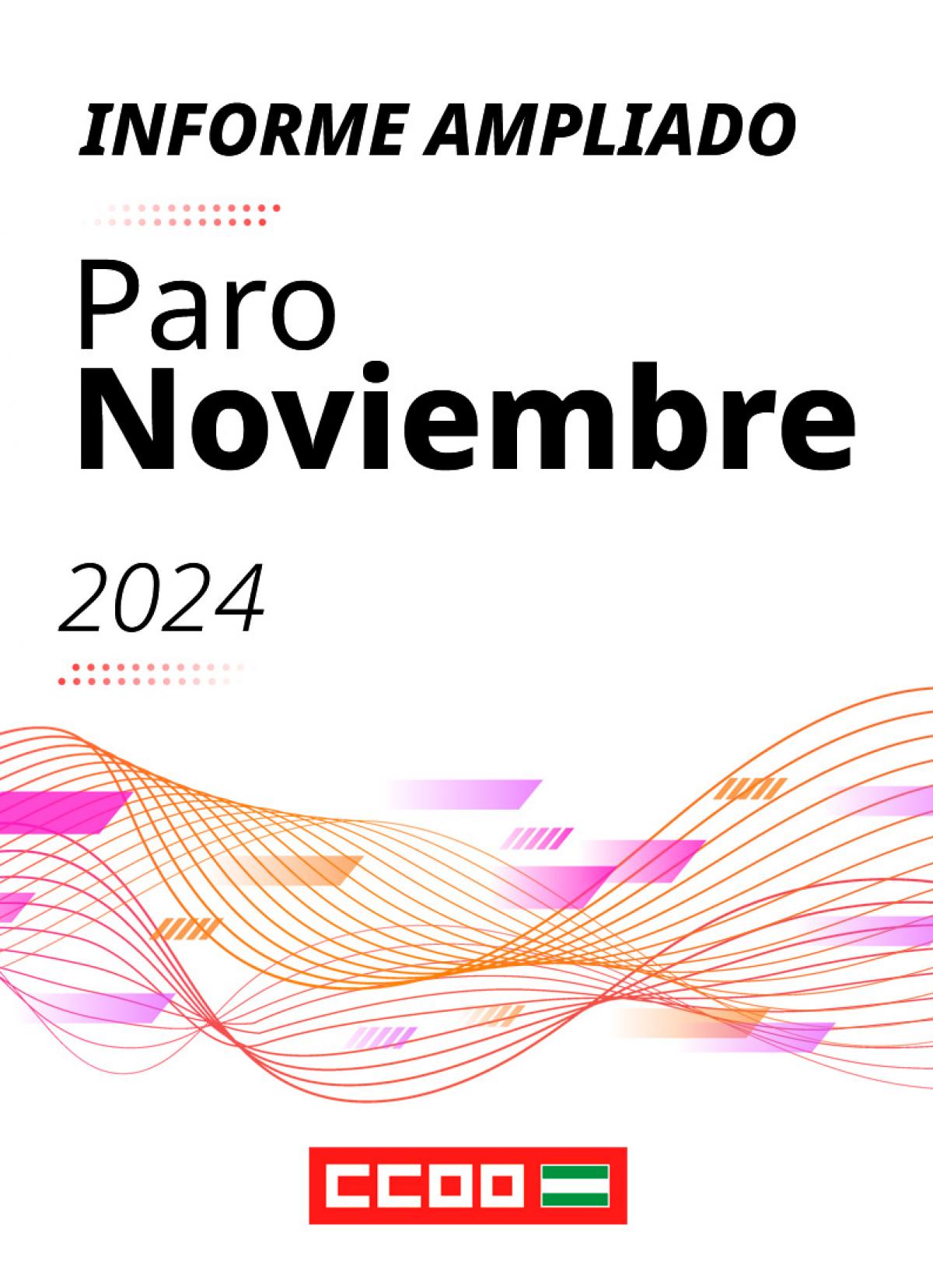 Informe ampliado paro noviembre 2024