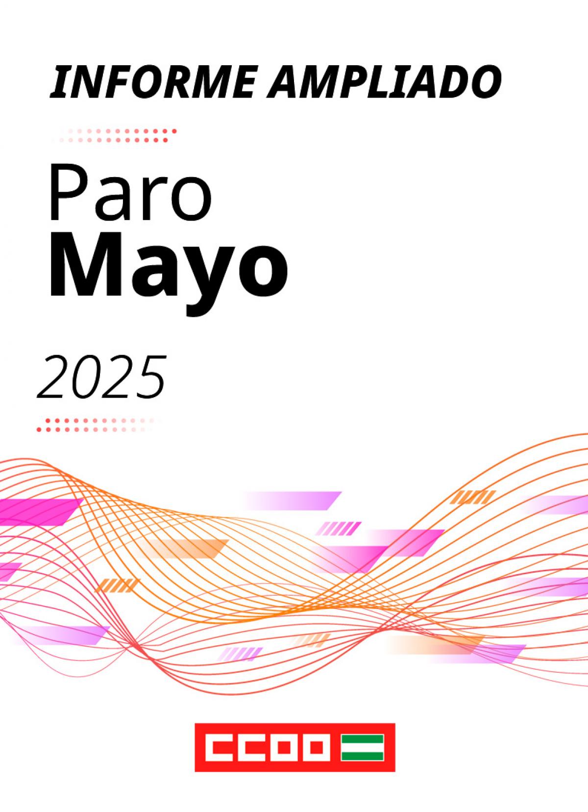 Informe ampliado paro mayo 2025