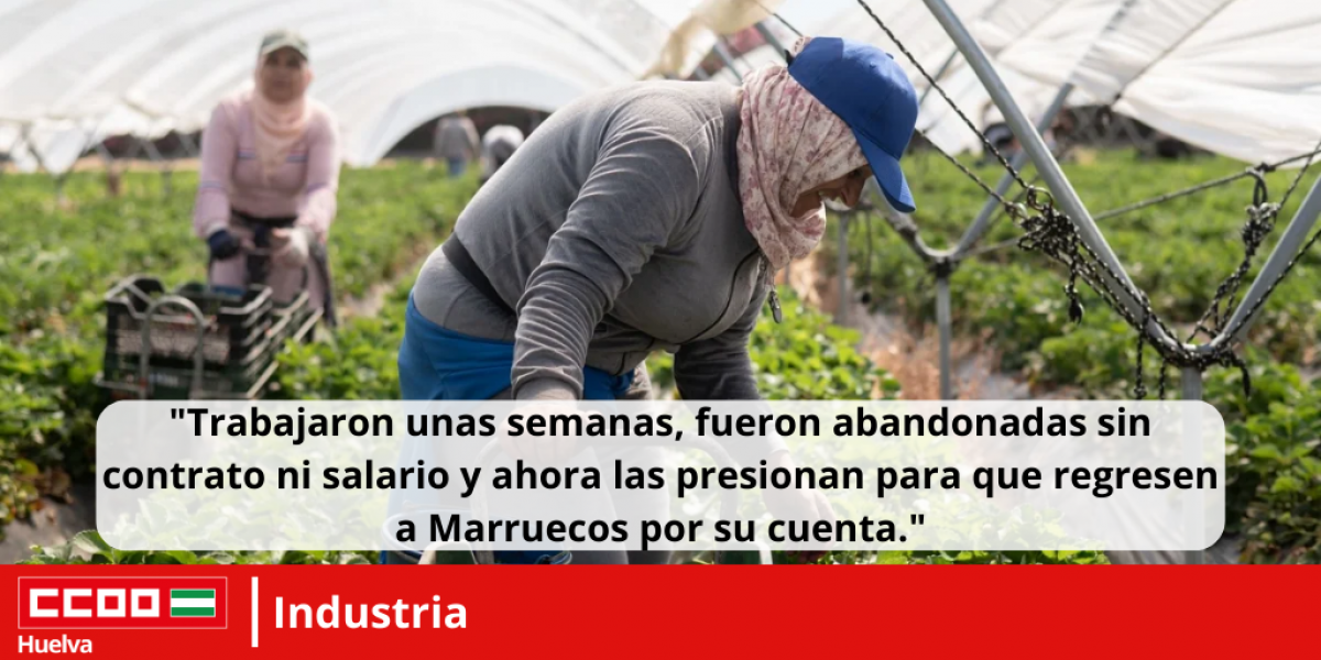 El sindicato denuncia que varias trabajadoras marroques contratadas para la campaa agrcola en Berrys la Dehesa, en Huelva han sido abandonadas sin contrato, sin nmina y bajo presiones constantes para que regresen a su pas por sus propios medios, una de ellas embarazada de cinco meses.