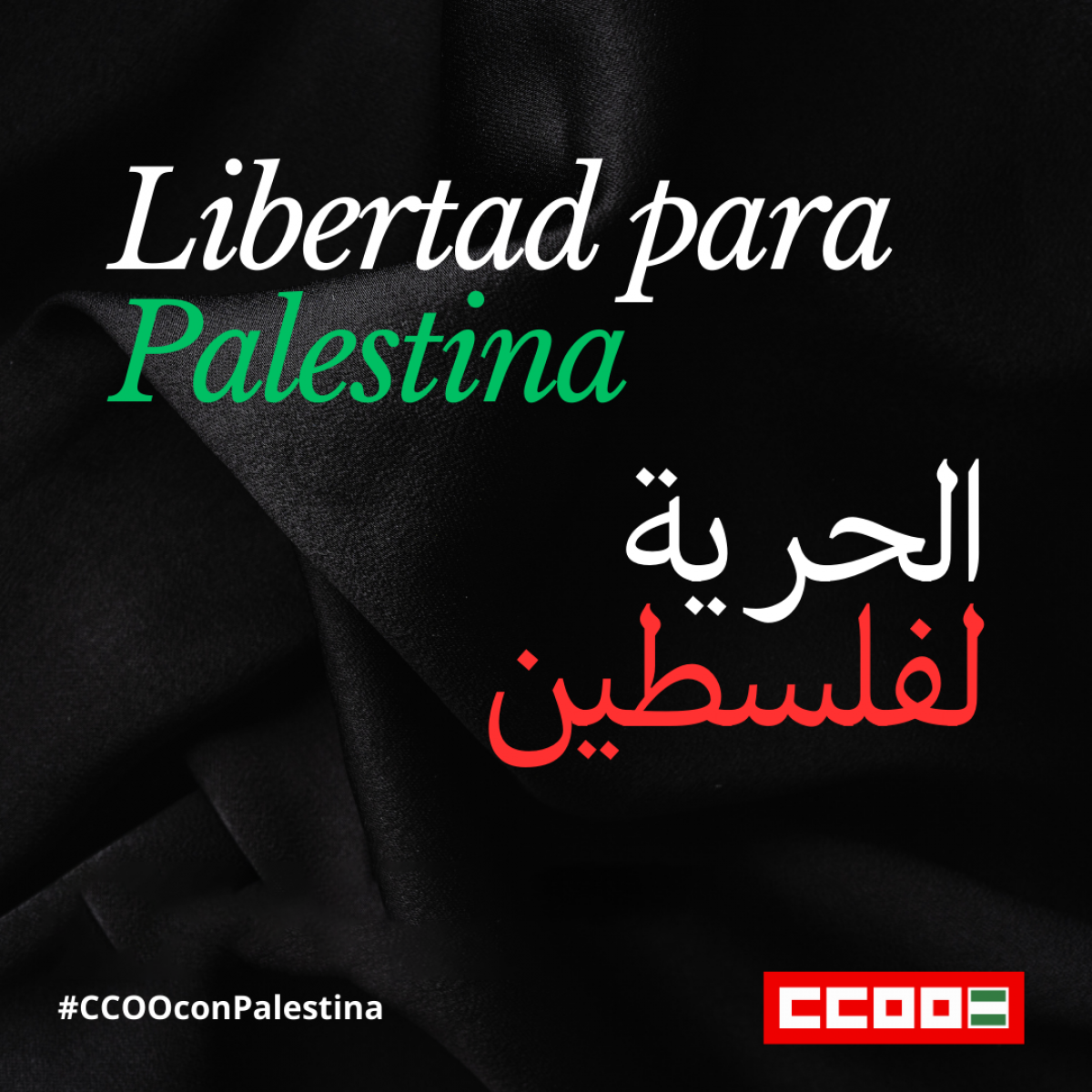 CCOO con Palestina