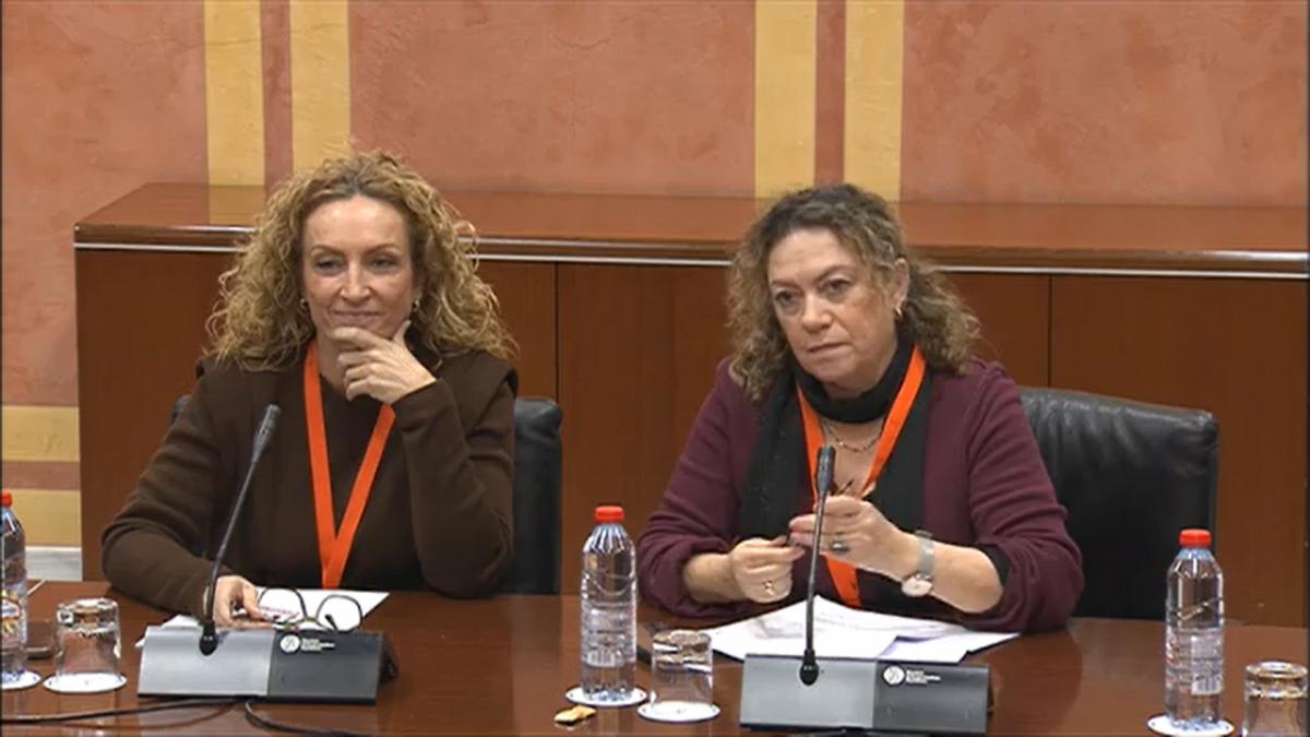 Comparecencia Parlamentaria de Patrimonio Cultural