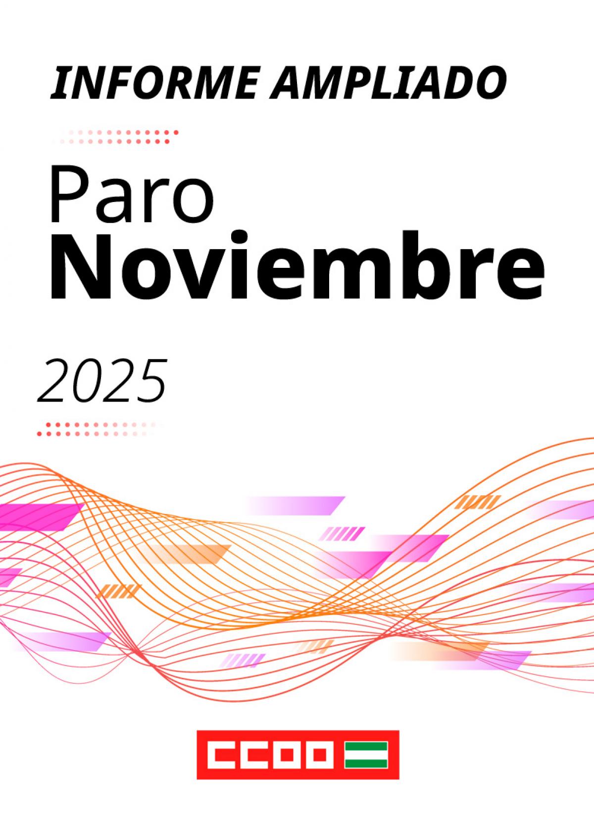 Informe ampliado paro noviembre 2025