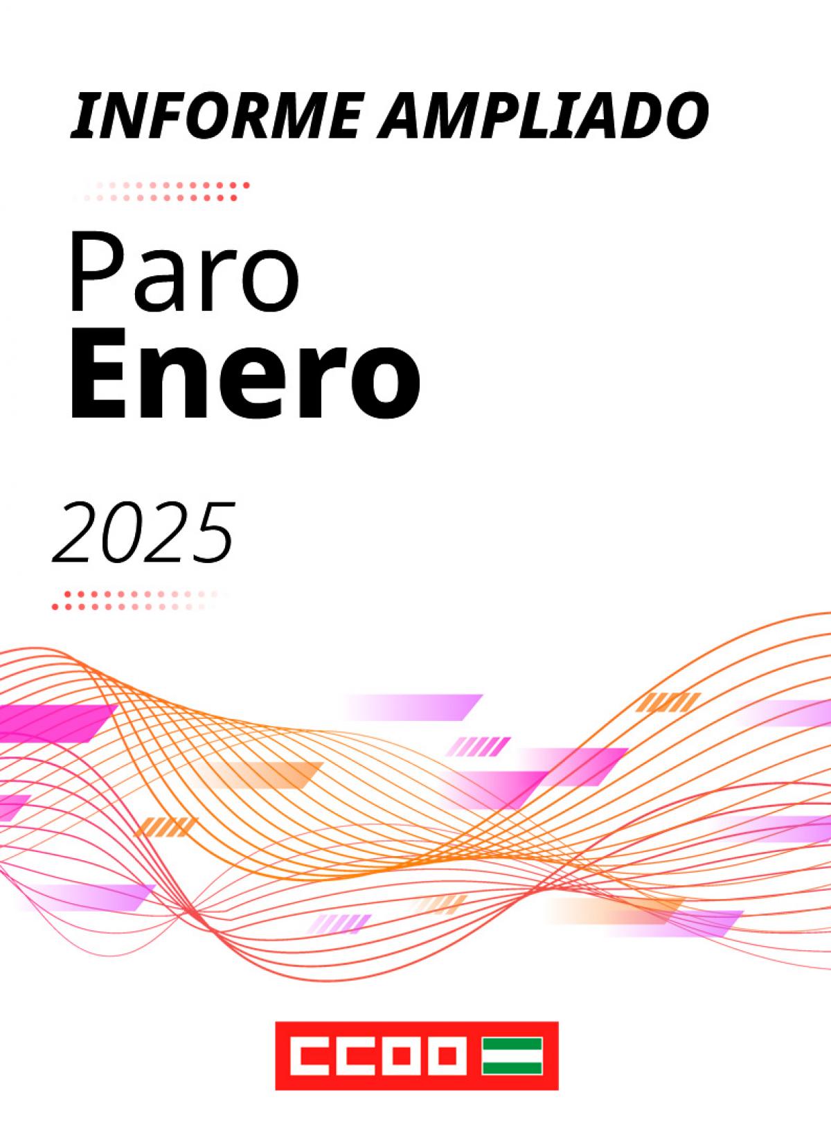 Informe ampliado paro enero 2025